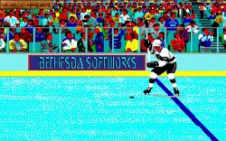 Wayne Gretzky Hockey:  
