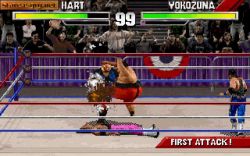 WWF Wrestlemania: The Arcade Game:  
