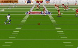 Ultimate Football '95:  
