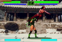 CatFight:  