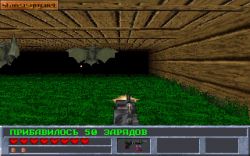 Dungeons of Kremlin:  
