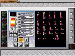 Screen gry G-Netix: 