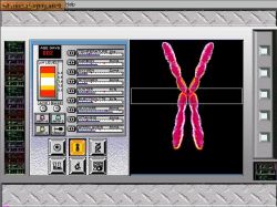 Screen gry G-Netix: 