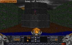 Obrazek z gry Heretic