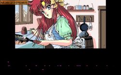 Screen gry Knights Of Xentar: 