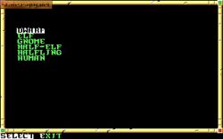 Obrazek z gry Neverwinter Nights