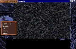 Obrazek z gry Nocturnal Illusion