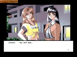 Obrazek z gry Paradise Heights 2