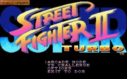 Obrazek z gry Super Street Fighter II Turbo