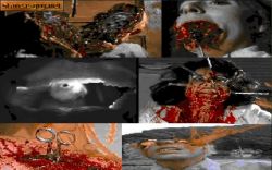 Obrazek z gry The Untold Story