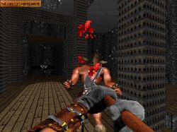 Obrazek z gry Witchaven II: Blood Vengeance