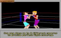 4D Sports Boxing:  