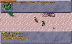 Obrazek z gry Dark Sun: Shattered Lands