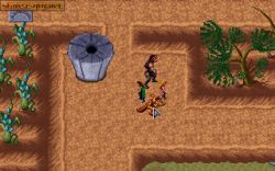 Obrazek z gry Dark Sun: Shattered Lands