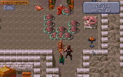 Dark Sun: Shattered Lands: Walka z magiem 