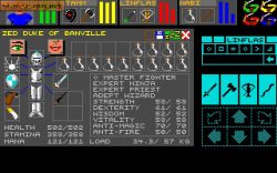 Screen gry Dungeon Master: 