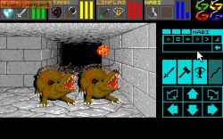 Screen gry Dungeon Master: 