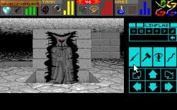 Screen gry Dungeon Master: 