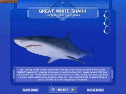 Screen gry Shark! Hunting the Great White: 