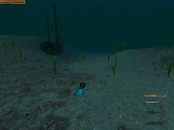 Shark! Hunting the Great White:  