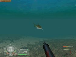 Screen gry Shark! Hunting the Great White: 
