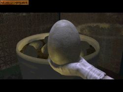 Screen gry Trespasser: Jurassic Park: 