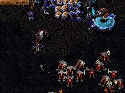 Obrazek z gry WarBreeds