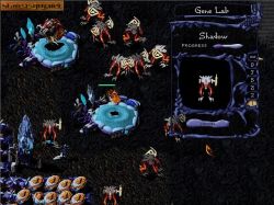 Obrazek z gry WarBreeds
