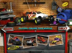 Obrazek z gry 3-D Ultra Radio Control Racers