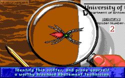Arachnophobia:  