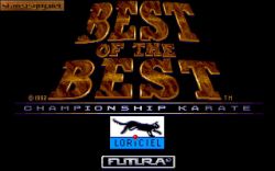 Screen gry Best of the Best Championship Karate: 