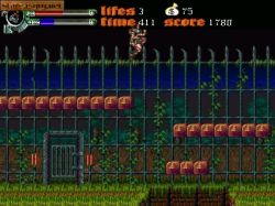 Obrazek z gry Castlevania: Dark Century