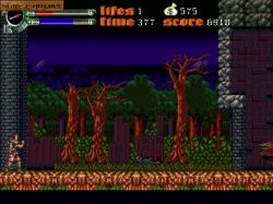 Obrazek z gry Castlevania: Dark Century