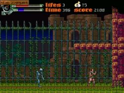 Castlevania: Dark Century:  