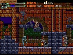 Obrazek z gry Castlevania: Dark Century