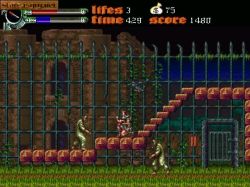 Obrazek z gry Castlevania: Dark Century