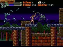 Obrazek z gry Castlevania: Dark Century