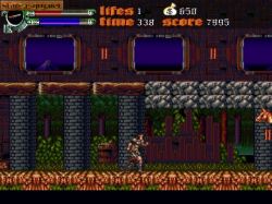 Obrazek z gry Castlevania: Dark Century