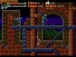 Obrazek z gry Castlevania: Dark Century