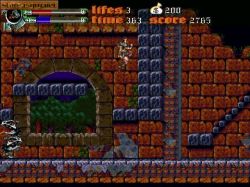 Obrazek z gry Castlevania: Dark Century