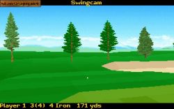 Screen gry David Leadbetter's Greens: 