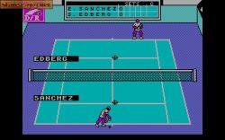 Emilio Sanchez Vicario Grand Slam:  