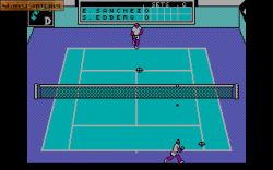 Emilio Sanchez Vicario Grand Slam:  
