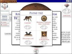 Obrazek z gry Encyklopedia Kotów