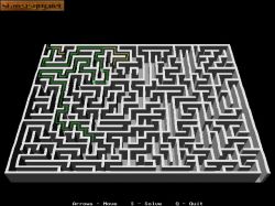 Screen gry FastMaze: 