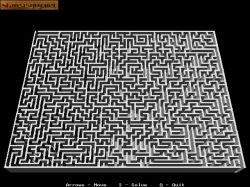 Screen gry FastMaze: 