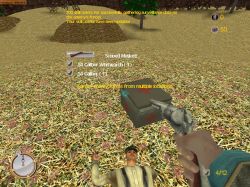 Obrazek z gry Gods and Generals