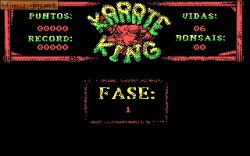 Obrazek z gry Karate King