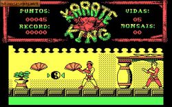 Obrazek z gry Karate King