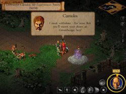 Obrazek z gry Magic & Mayhem